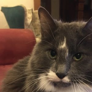 Meet your Posher, Brad